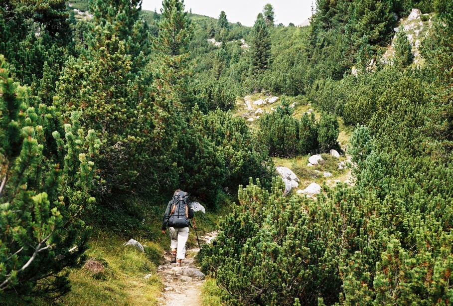 Stig 7 genom skog på väg till Rifugio Sénnes