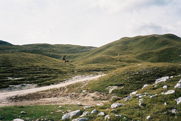 Lämnat  på väg mot Rifugio Biella